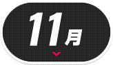 11月