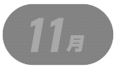 11月