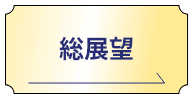 総展望
